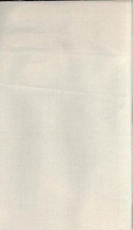 浙江定海叶氏宗谱4.pdf