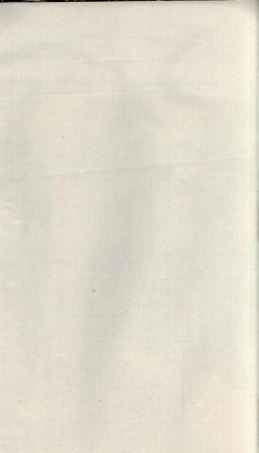 浙江定海叶氏宗谱7.pdf