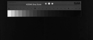 浙江三元徐氏宗譜, 8, 卷8_ 目錄 34世壽字行師儒公起行傳, 2005.pdf