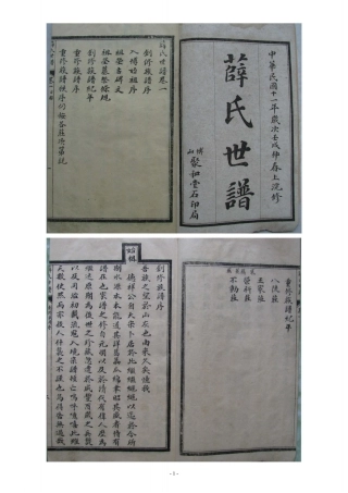 博山薛氏世谱 [民国十一年版].pdf