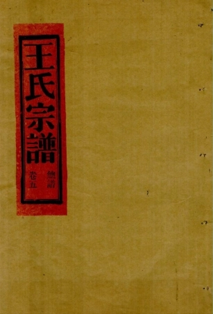 wang王_[溫嶺]湖亭王氏宗譜5.pdf