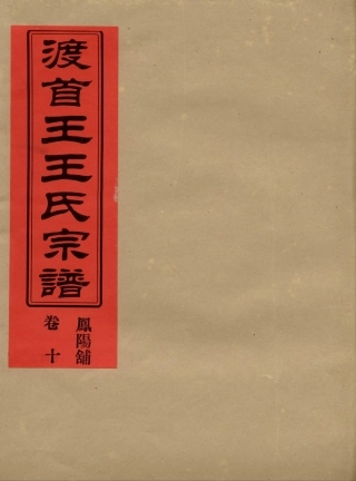 wang王_渡首王王氏宗譜11.pdf