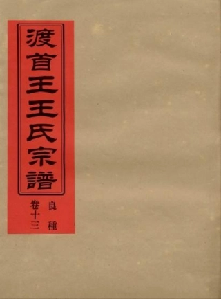 wang王_渡首王王氏宗譜14.pdf