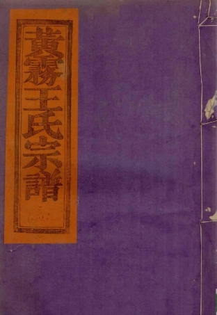 wang王_天台黄務王氏宗谱4.pdf