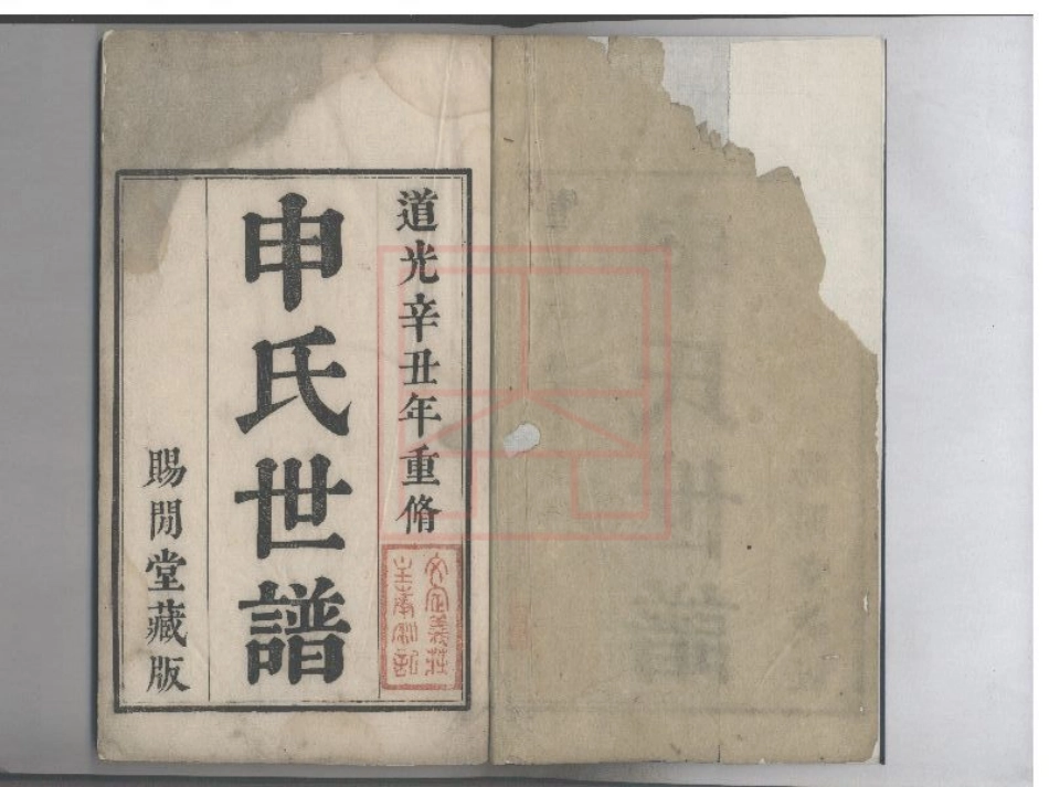 【291】申氏世谱[1-4].pdf_第1页