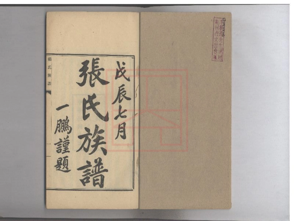 【329】张氏族谱.pdf_第2页