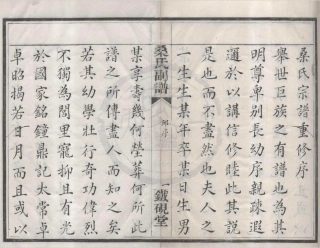 山东鄮东一都桑氏刻谱.pdf