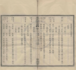 山东鄞东叶公山叶氏宗谱.pdf