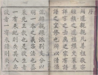 山东虞北罗氏宗谱01.pdf