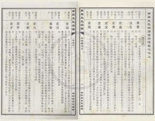 山东南屏王氏宗谱13.pdf