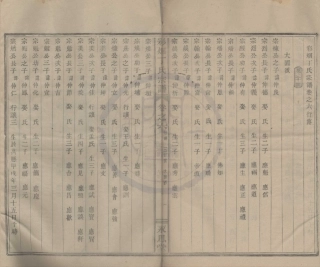 山东彩烟丁氏宗谱4.pdf