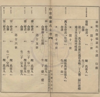 山东慈北白唐桥罗氏支谱2.pdf