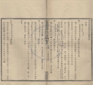 山东慈东青林陈氏宗谱4.pdf