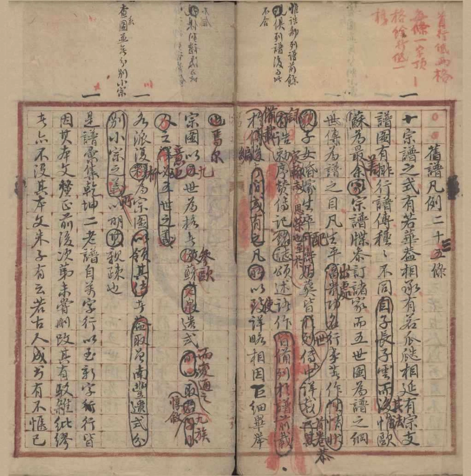 山东栎溪杨氏宗谱1.pdf_第1页