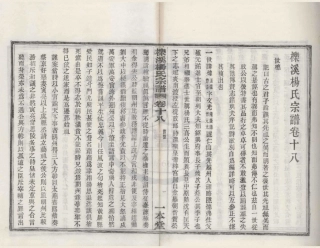 山东栎溪杨氏宗谱6.pdf