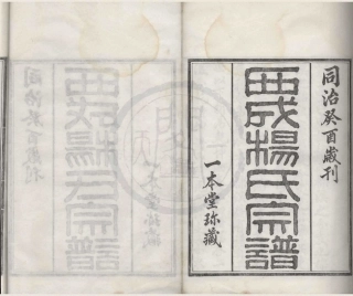 山东西成杨氏宗谱1.pdf