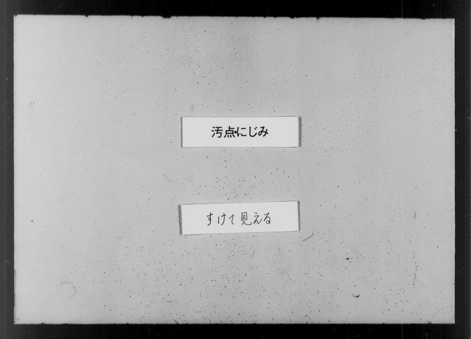 山东浙江竹溪沈氏家乘1.pdf_第2页