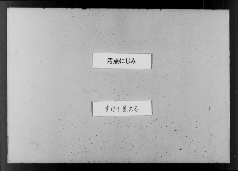 山东浙江竹溪沈氏家乘2.pdf_第2页