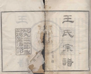 山东镇海五里牌王氏宗谱01.pdf