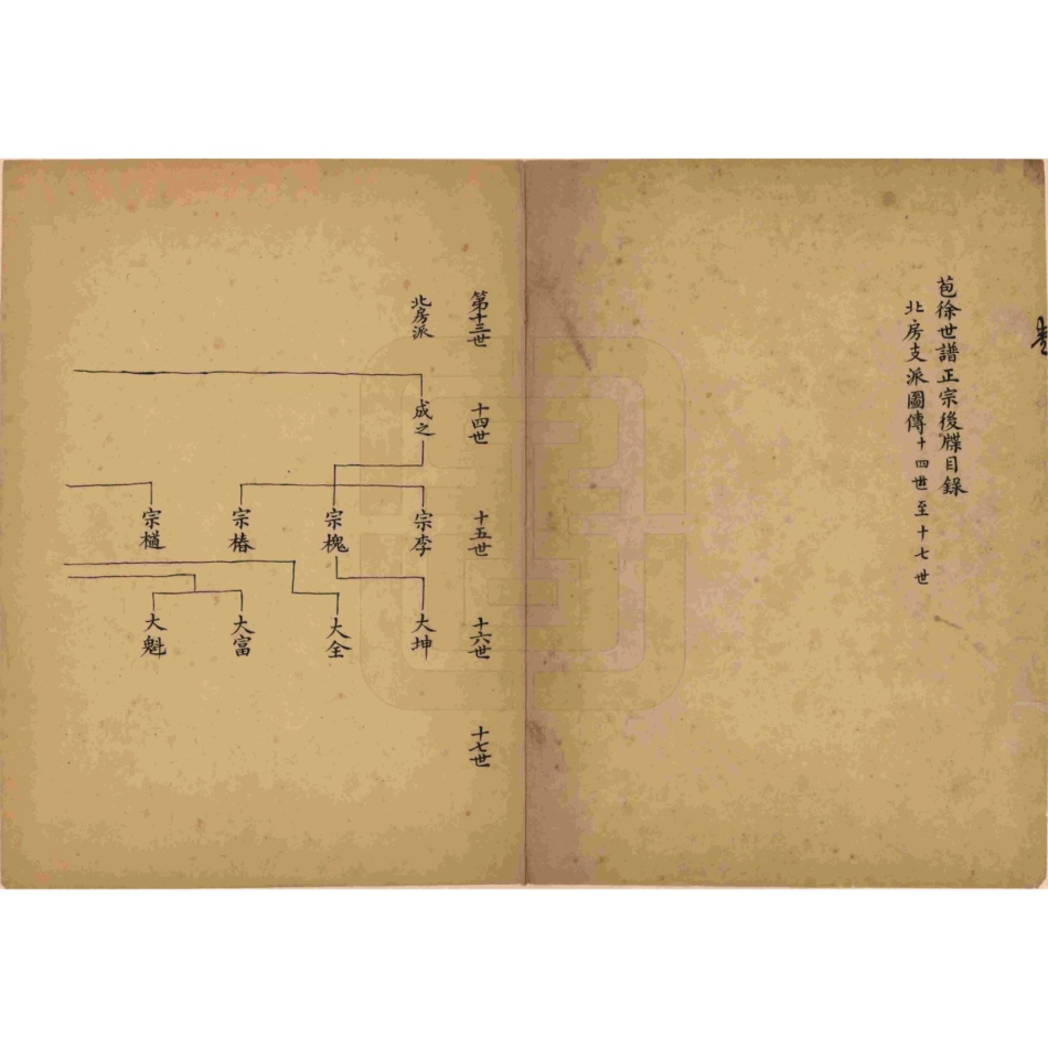 山东浙江绍兴苞徐世谱正宗2.pdf_第2页