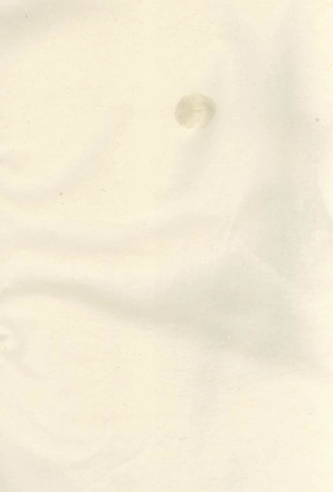 2938.乐安郑氏宗谱.pdf