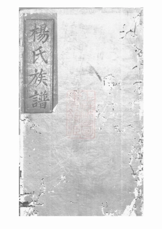 2150.杨氏族谱： 十卷：[武陵].pdf