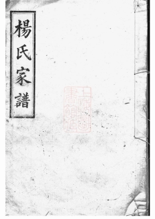2162.长沙杨氏家谱.pdf
