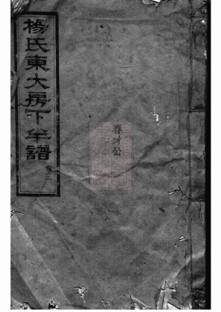 2161.杨氏东大房下半谱： [长沙].pdf
