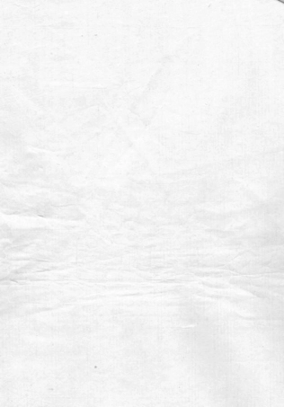 2212.无锡鸿山杨氏宗谱.pdf