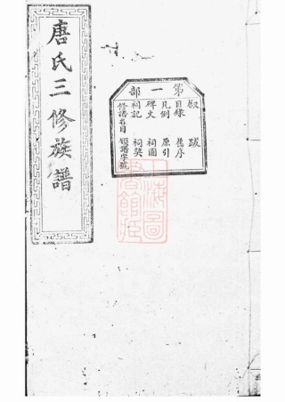 2087.唐氏三修族谱： [宁乡].pdf