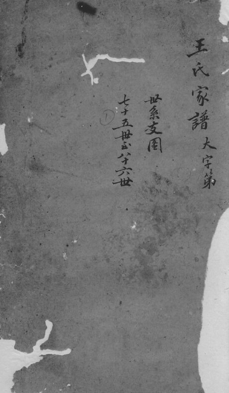 1703.王氏族谱： 不分卷：[绍兴].pdf_第1页