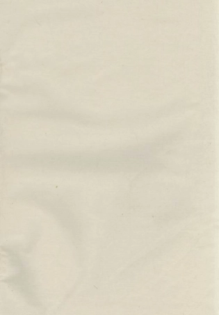 1719.王氏族谱： [湘阴].pdf