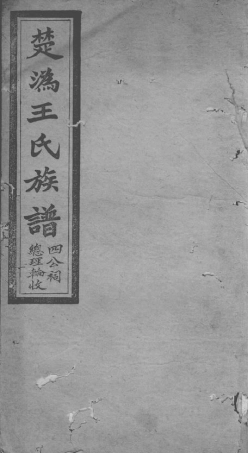 1601.楚沩王氏族谱： [长沙].pdf