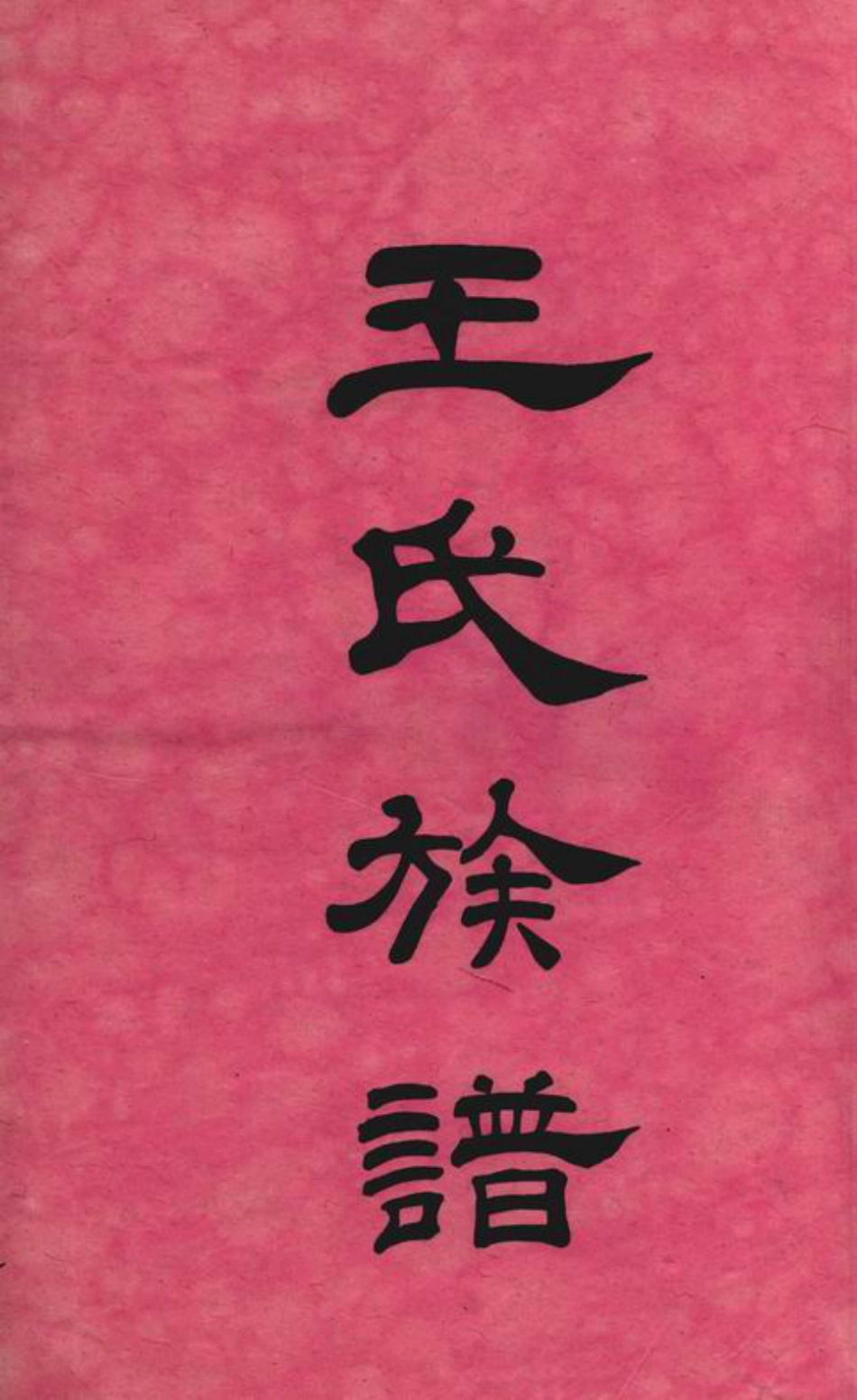 1602.长沙涧湖塘王氏六修族谱： 十一卷，首三卷，末一卷.pdf_第3页