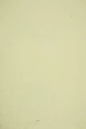 1604.金华王氏宗谱.pdf