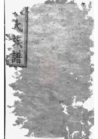 0718.张氏族谱.pdf